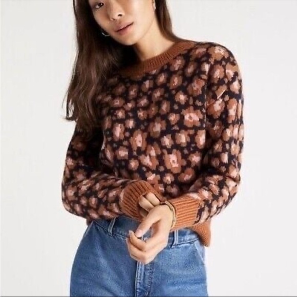 Ann Taylor  womens pullover heavy Leopard Print Jacquard Crew Neck Sweater XXS - Picture 1 of 10